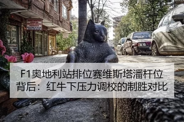 F1奥地利站排位赛维斯塔潘杆位背后：红牛下压力调校的制胜对比