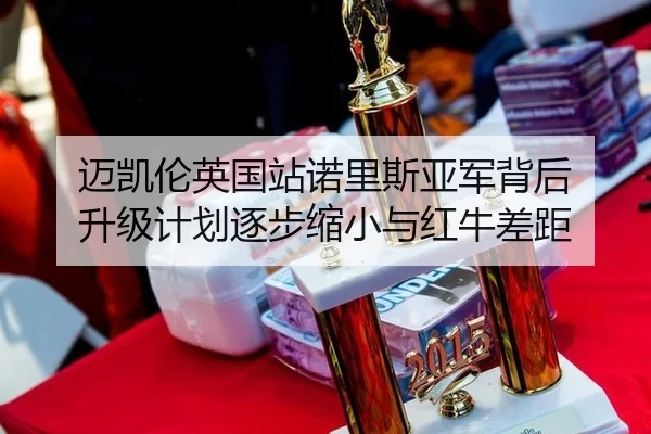 迈凯伦英国站诺里斯亚军背后 升级计划逐步缩小与红牛差距